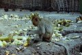 Thailand 2001-EXa247